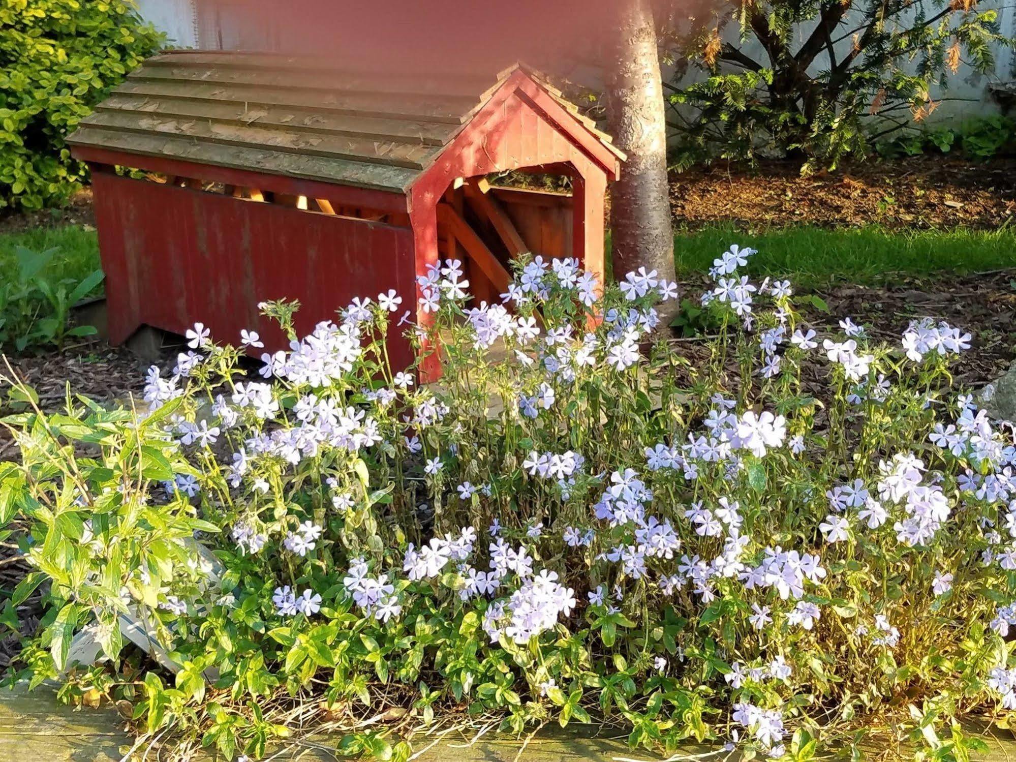 Osceola Mill House Bed And Breakfast (Adults Only) Gordonville Bagian luar foto